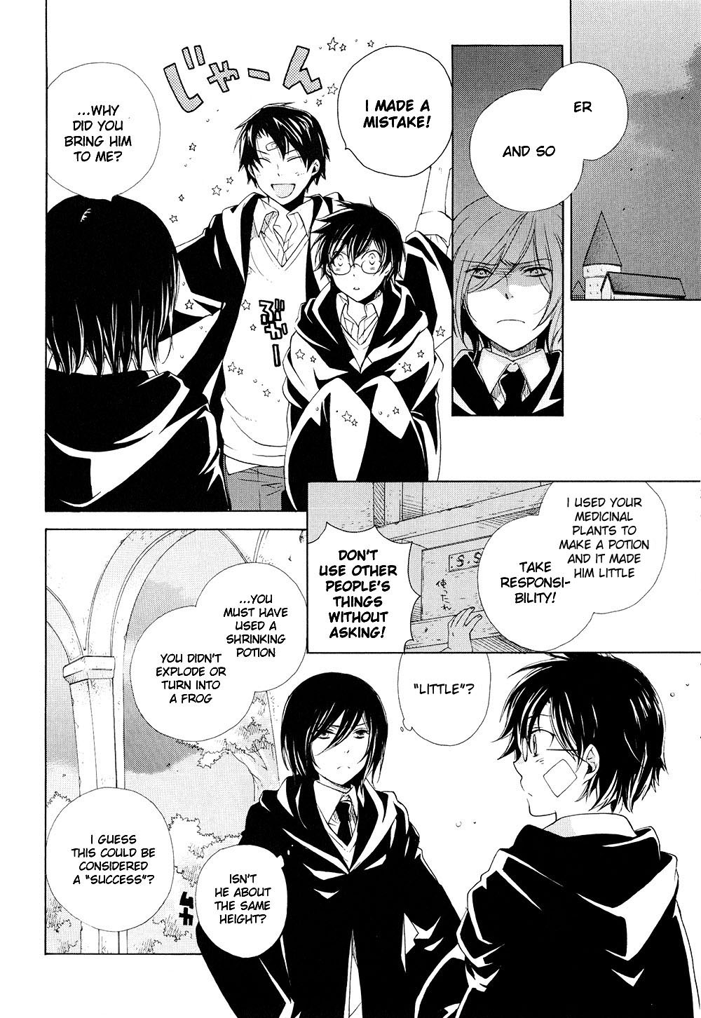 Harry Potter - The World (Doujinshi) Like a stray sheep 第11页