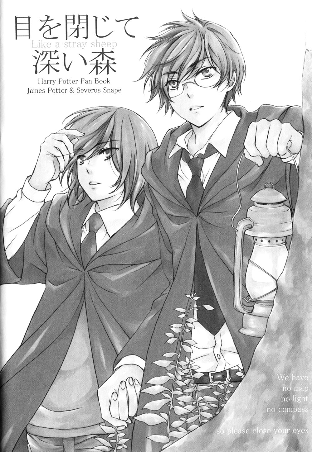 Harry Potter - The World (Doujinshi) Like a stray sheep 第3页