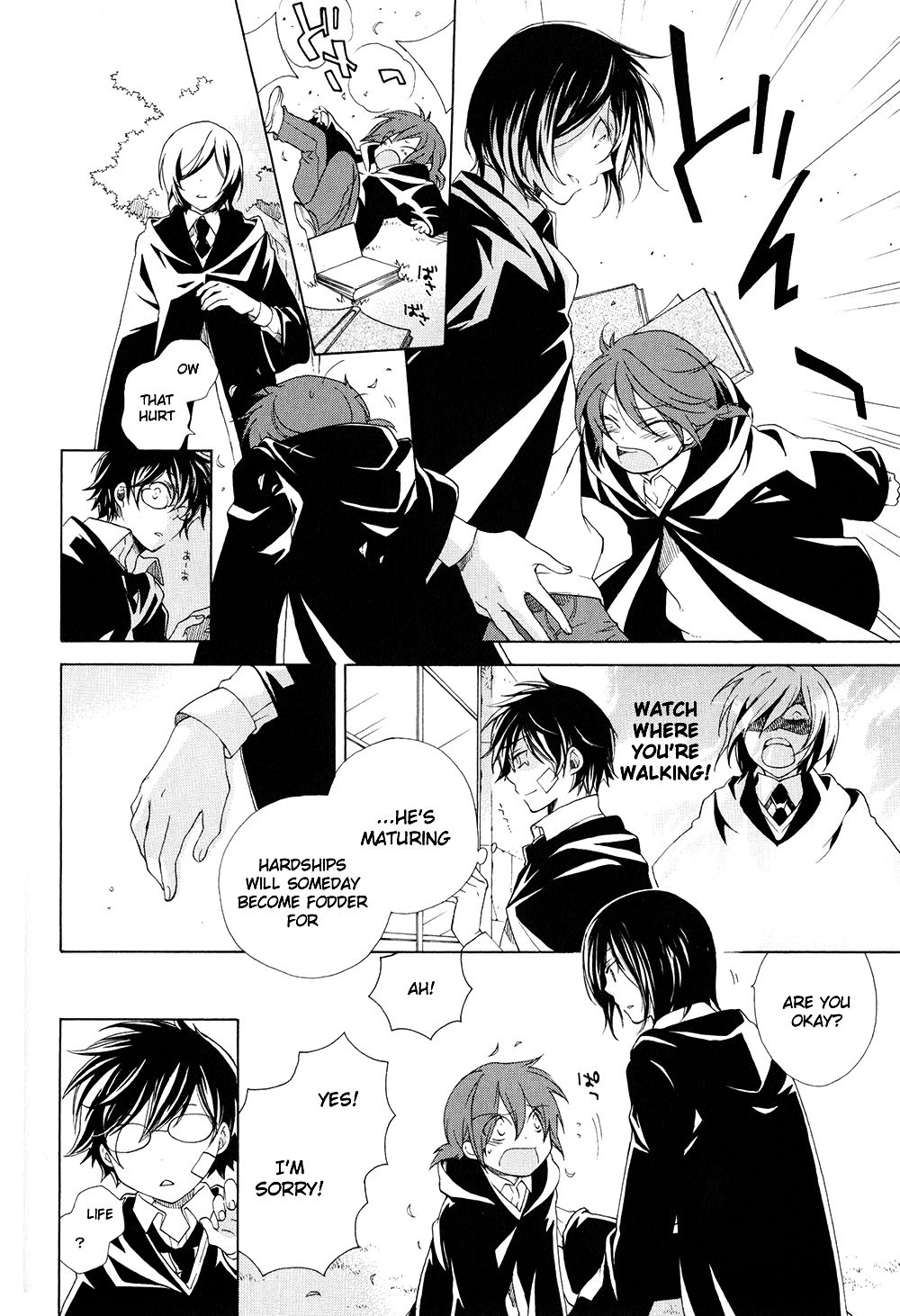 Harry Potter - The World (Doujinshi) Like a stray sheep 第9页