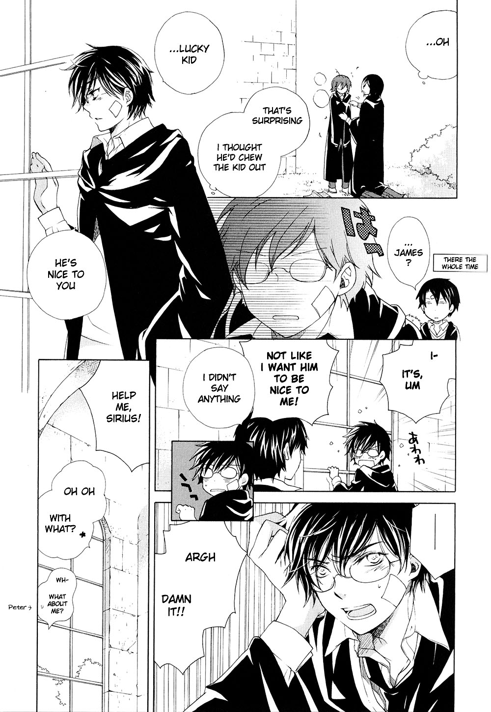 Harry Potter - The World (Doujinshi) Like a stray sheep 第10页