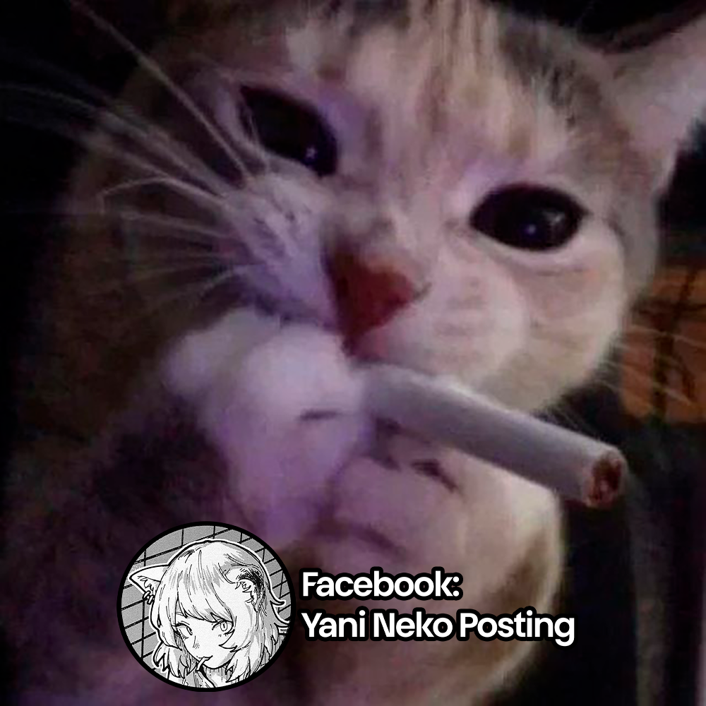 Yani Neko 2mg 第15页