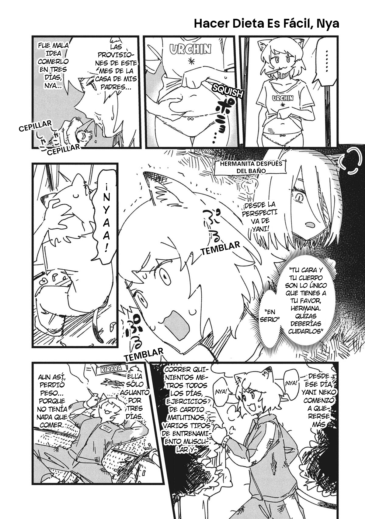 Yani Neko 2mg 第10页
