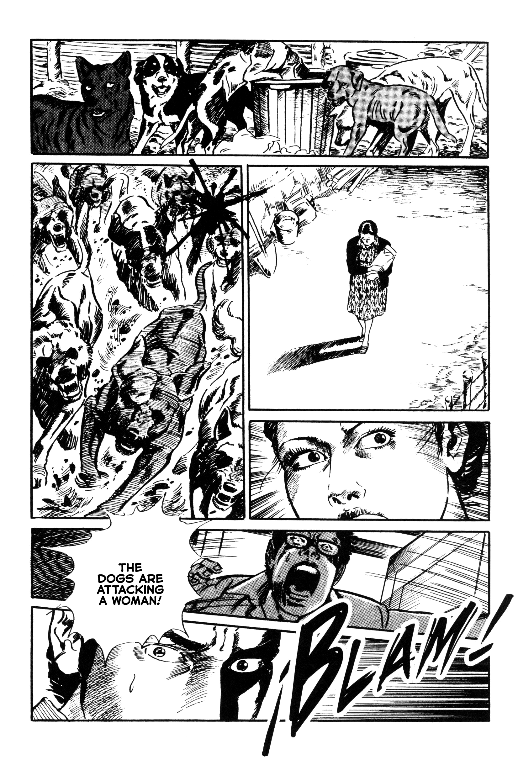 The Great Wild 第6页