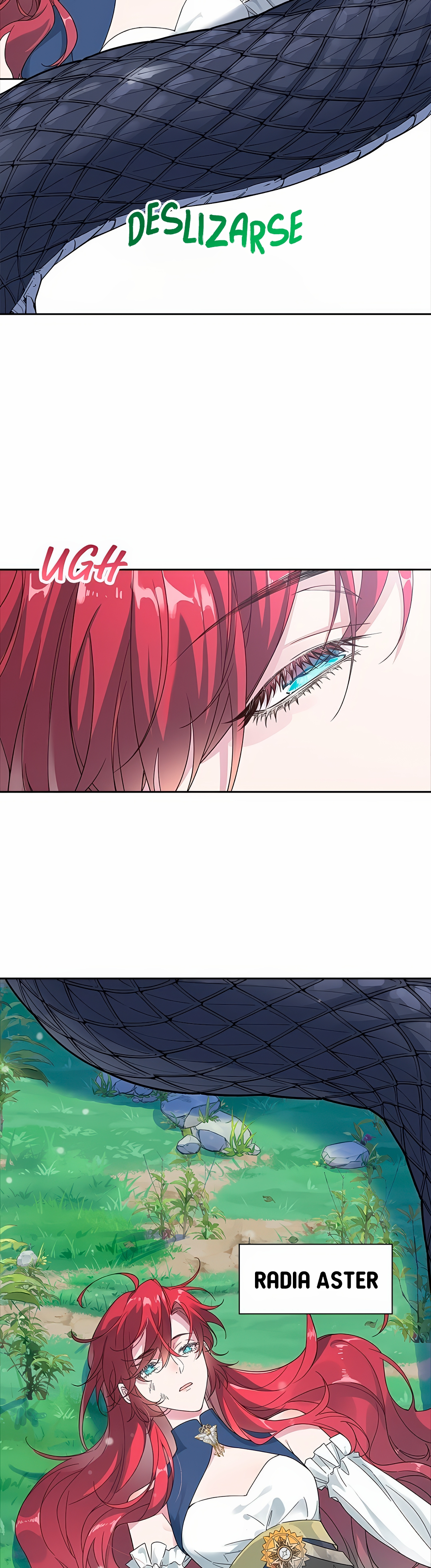 Radia 第6页