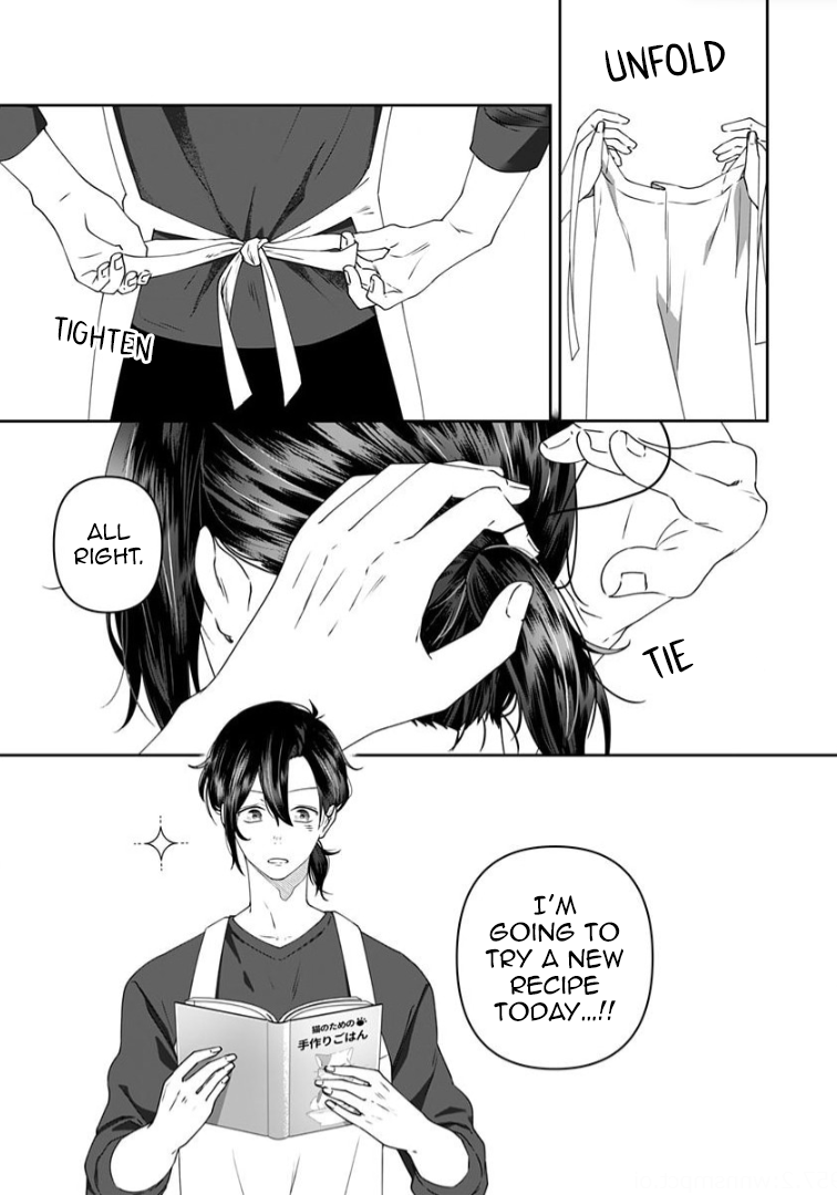 Neko ni wa Neko no Neko Gohan Vol. 2 Ch. 6 第1页