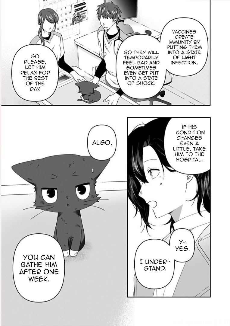 Neko ni wa Neko no Neko Gohan Vol. 2 Ch. 6 第11页