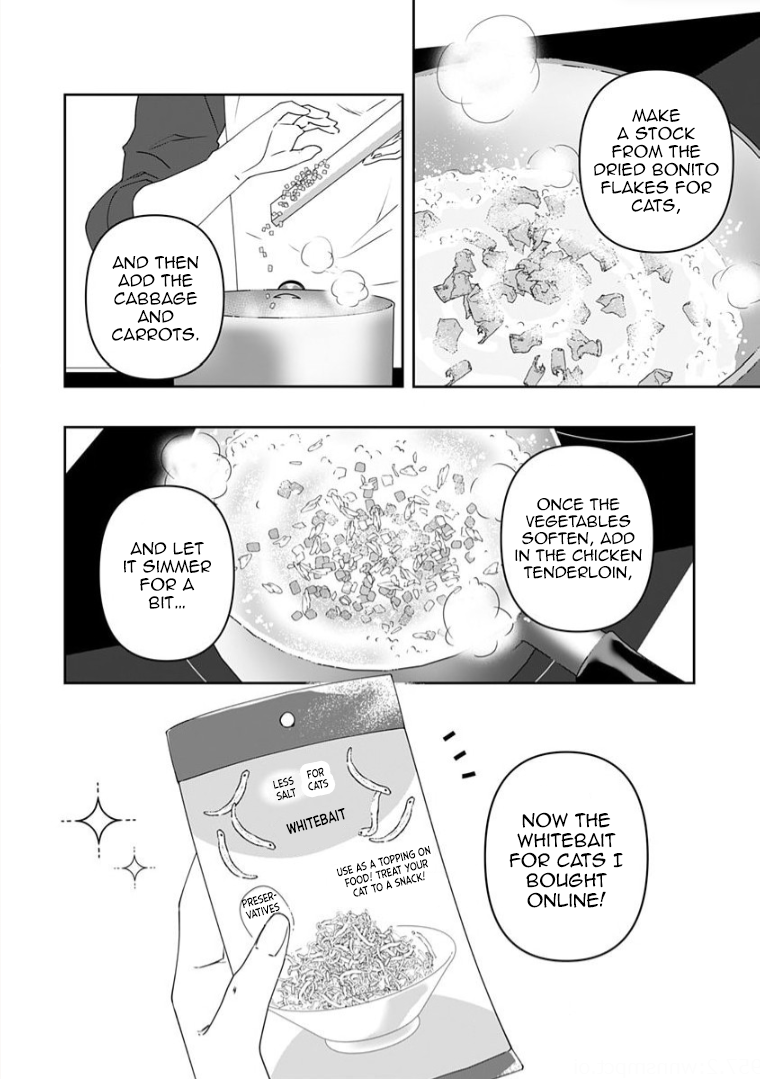 Neko ni wa Neko no Neko Gohan Vol. 2 Ch. 6 第3页