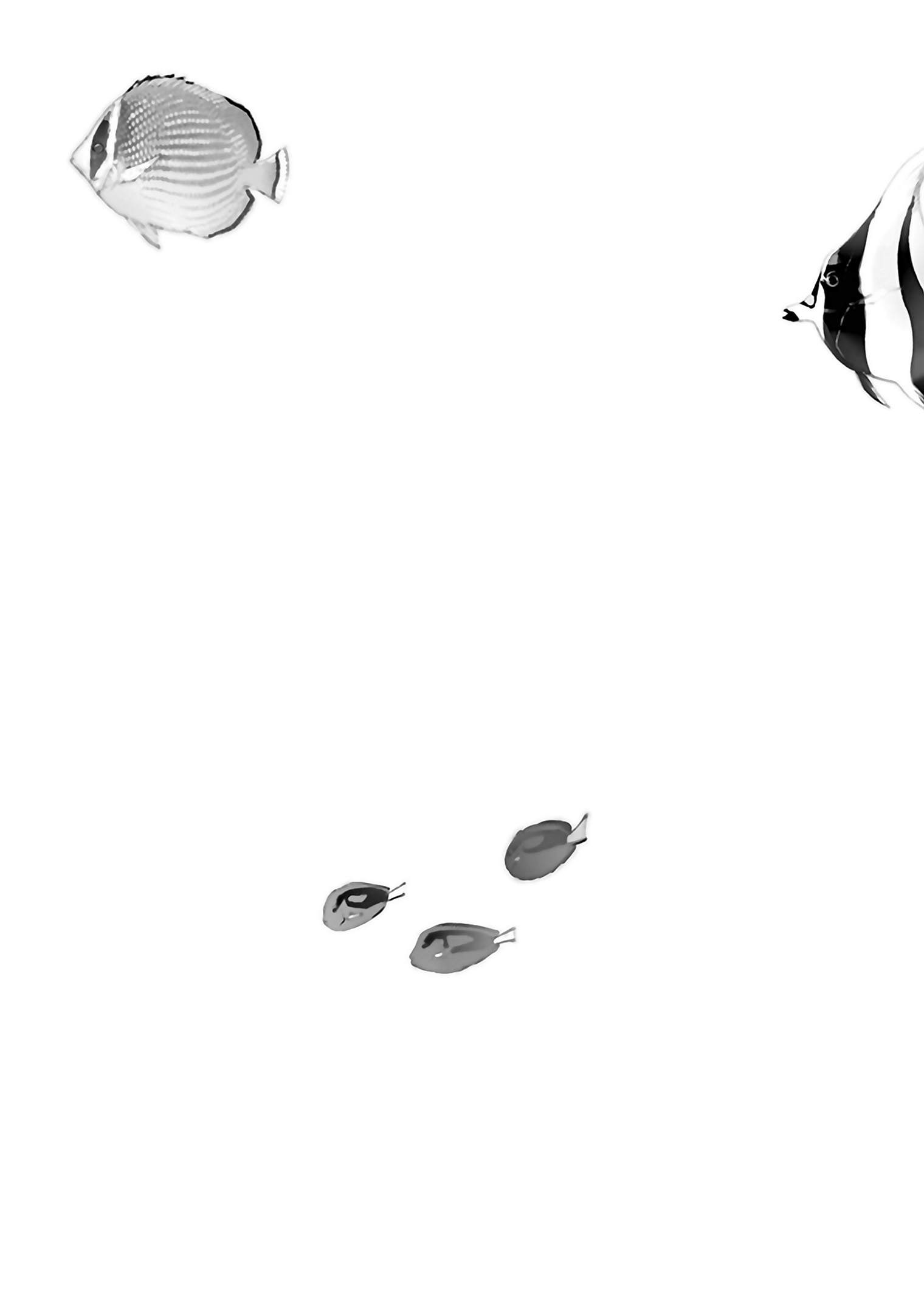 Josee, the Tiger and the Fish 第4页