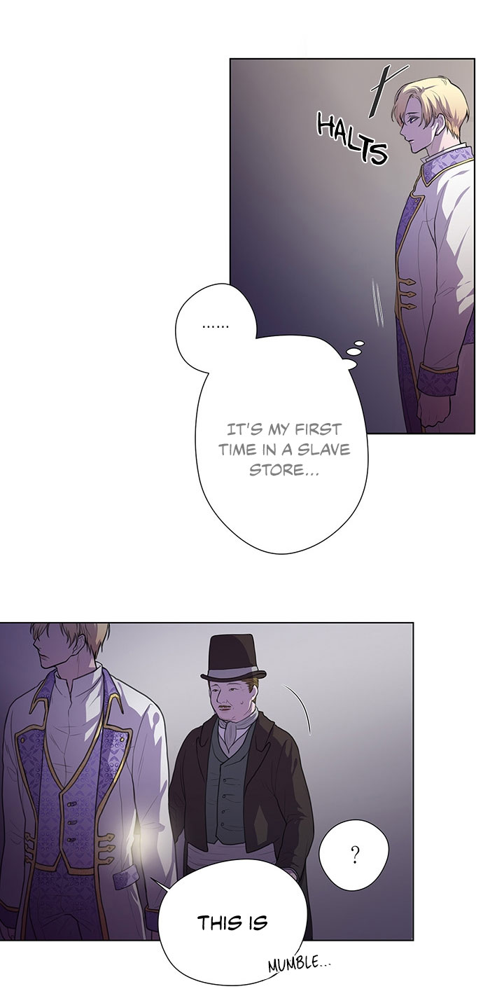Spinel Ch. 3 第12页