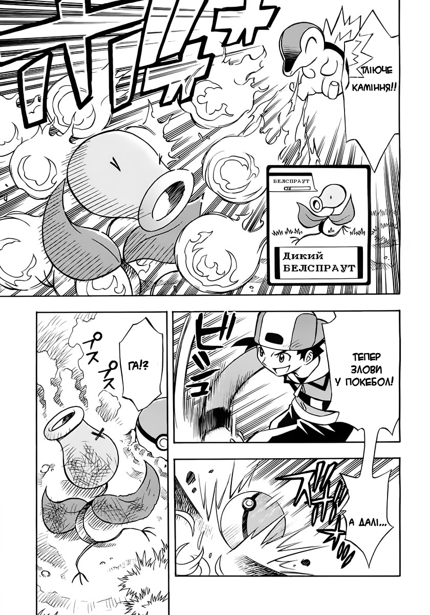 Pokémon Heart Gold Soul Silver: Pokédex Completion Comic Oneshot 第11页
