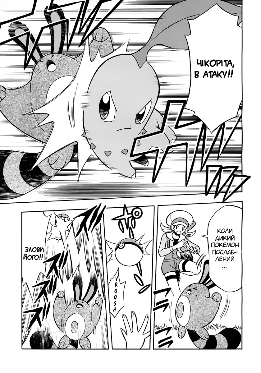 Pokémon Heart Gold Soul Silver: Pokédex Completion Comic Oneshot 第9页