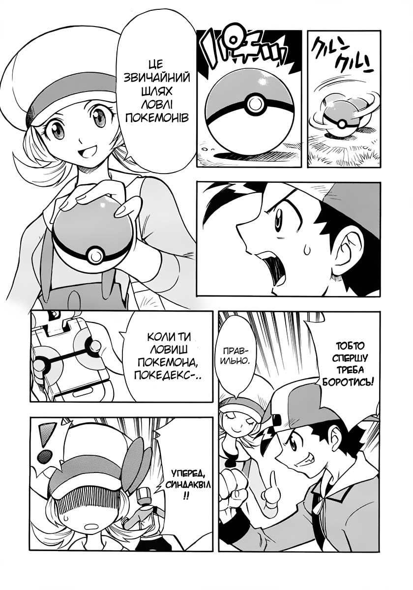Pokémon Heart Gold Soul Silver: Pokédex Completion Comic Oneshot 第10页