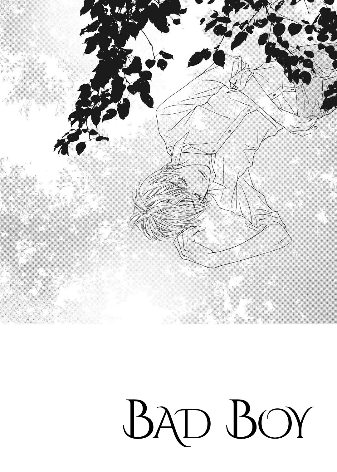 Bad Boy Vol. 1 Ch. 2 第3页