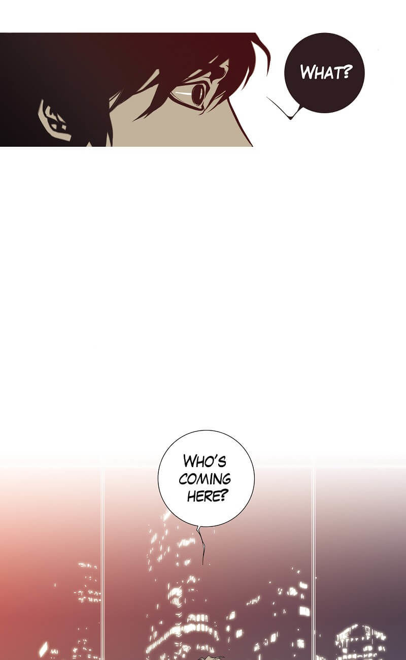 Cat and Dog Vol. 1 Ch. 2 第27页