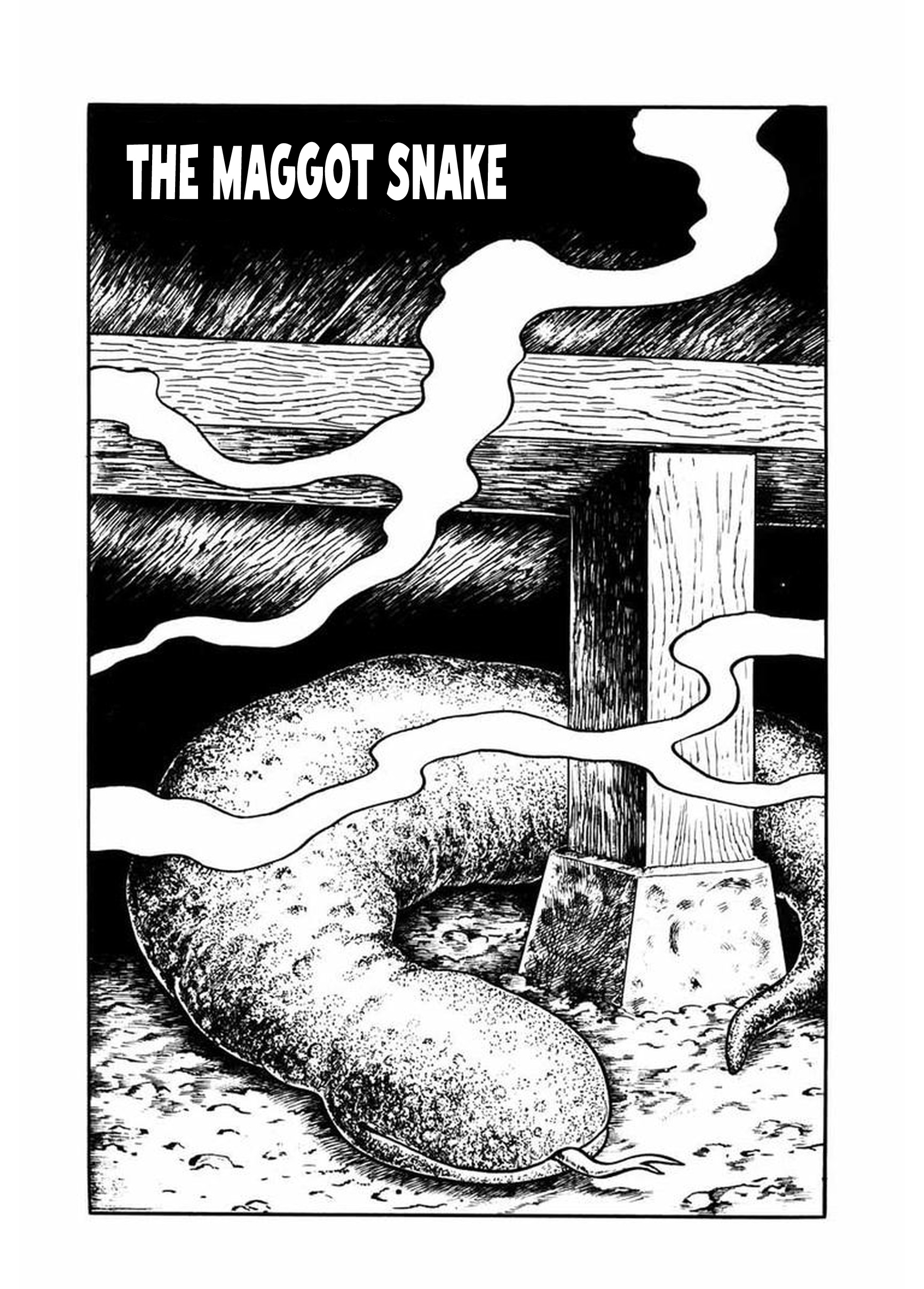 Grotesque Mandala The Brain Demon and the Maggot Snake 第14页