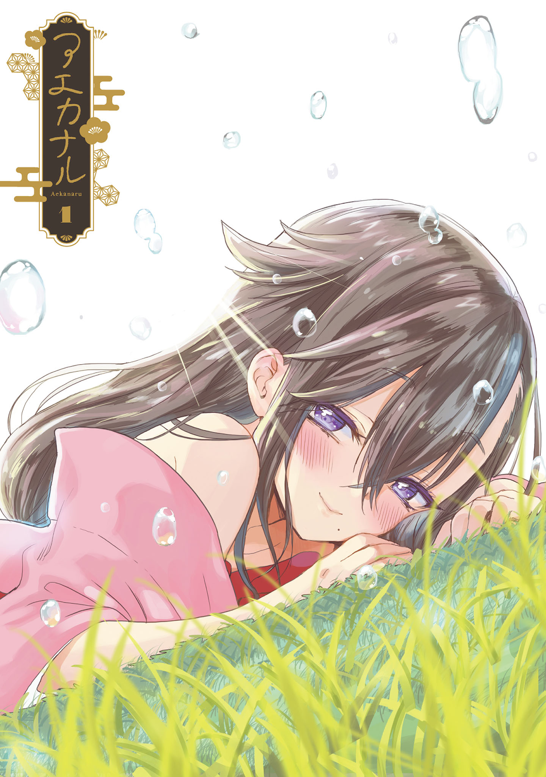 Aekanaru 第3页
