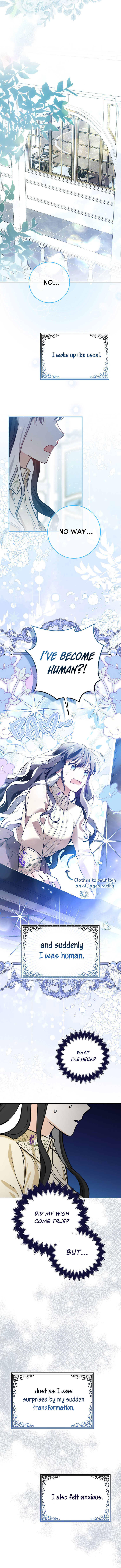 The Killer Whale's Comfort Penguin Ch. 2 第6页