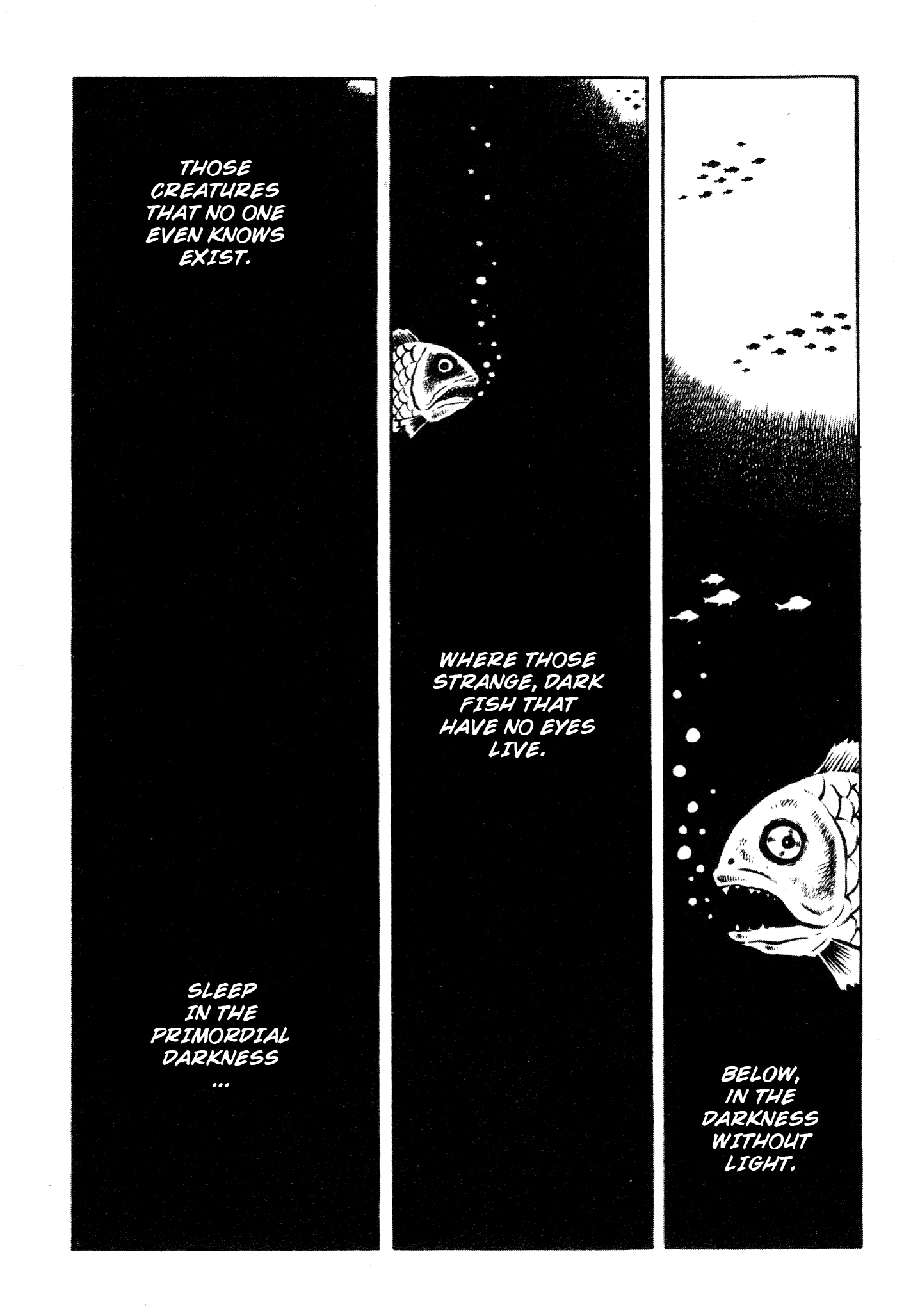 Horror of the Monster The Terrifying Monster 第35页