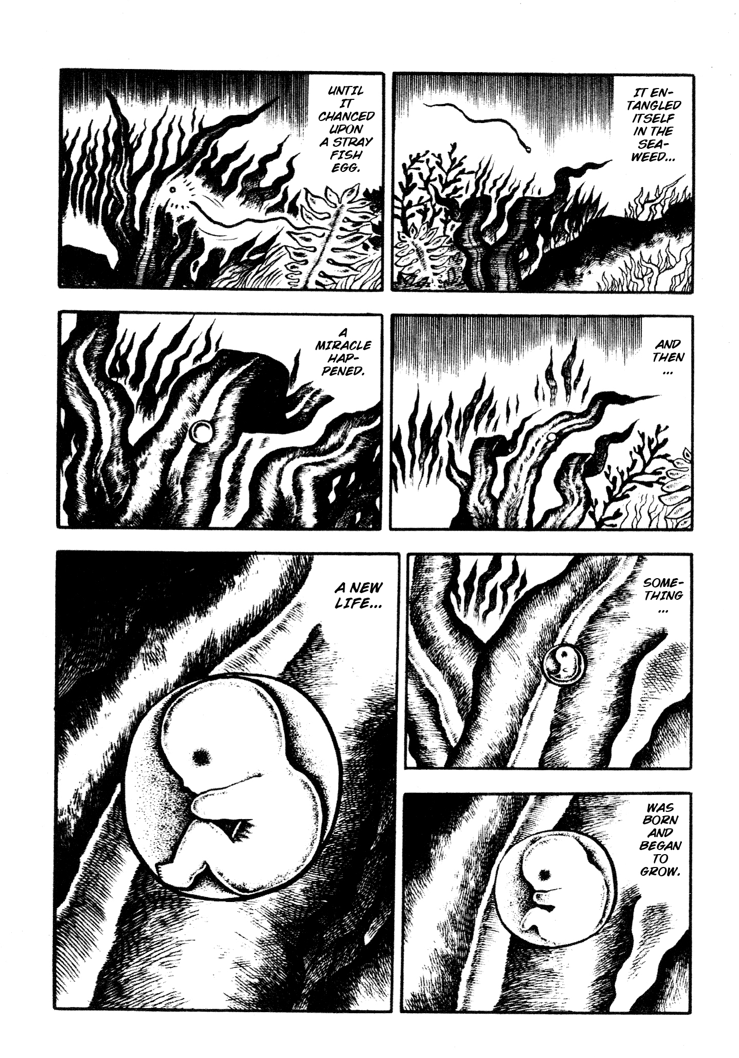 Horror of the Monster The Terrifying Monster 第68页