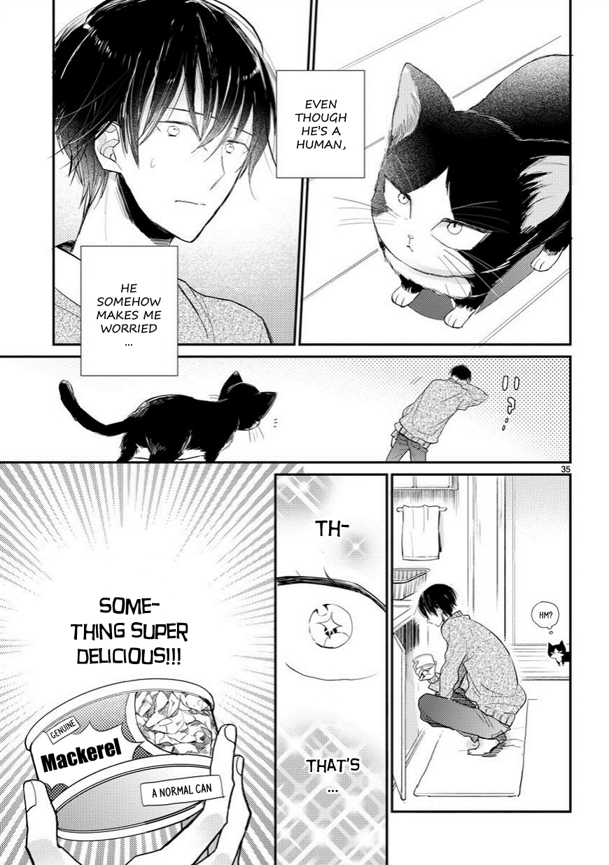 My Roommate Is a Cat An Encounter With the Unknown 第36页