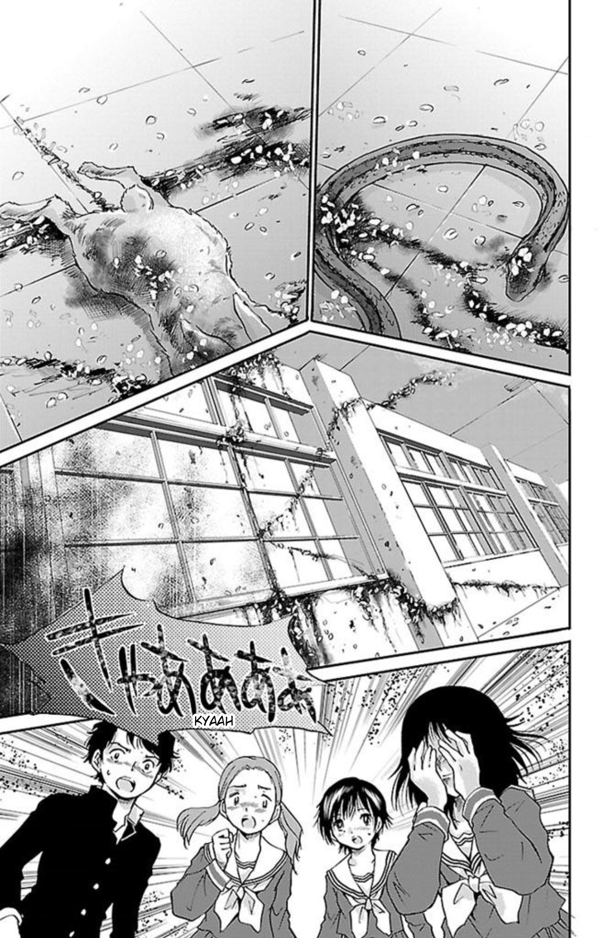 Genshitan Janome Looming Suspicion 第17页