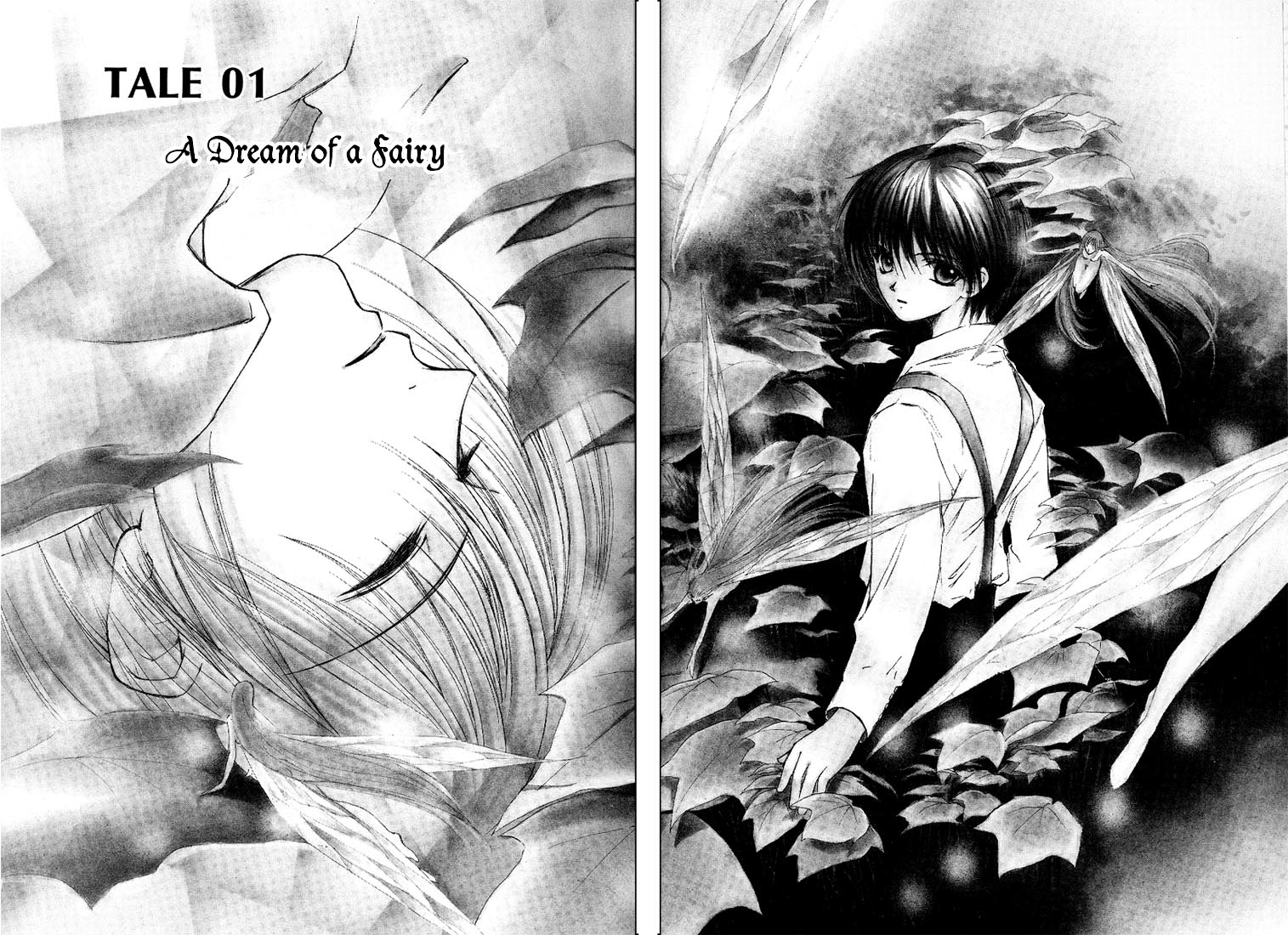 World End Fairytale 第3页