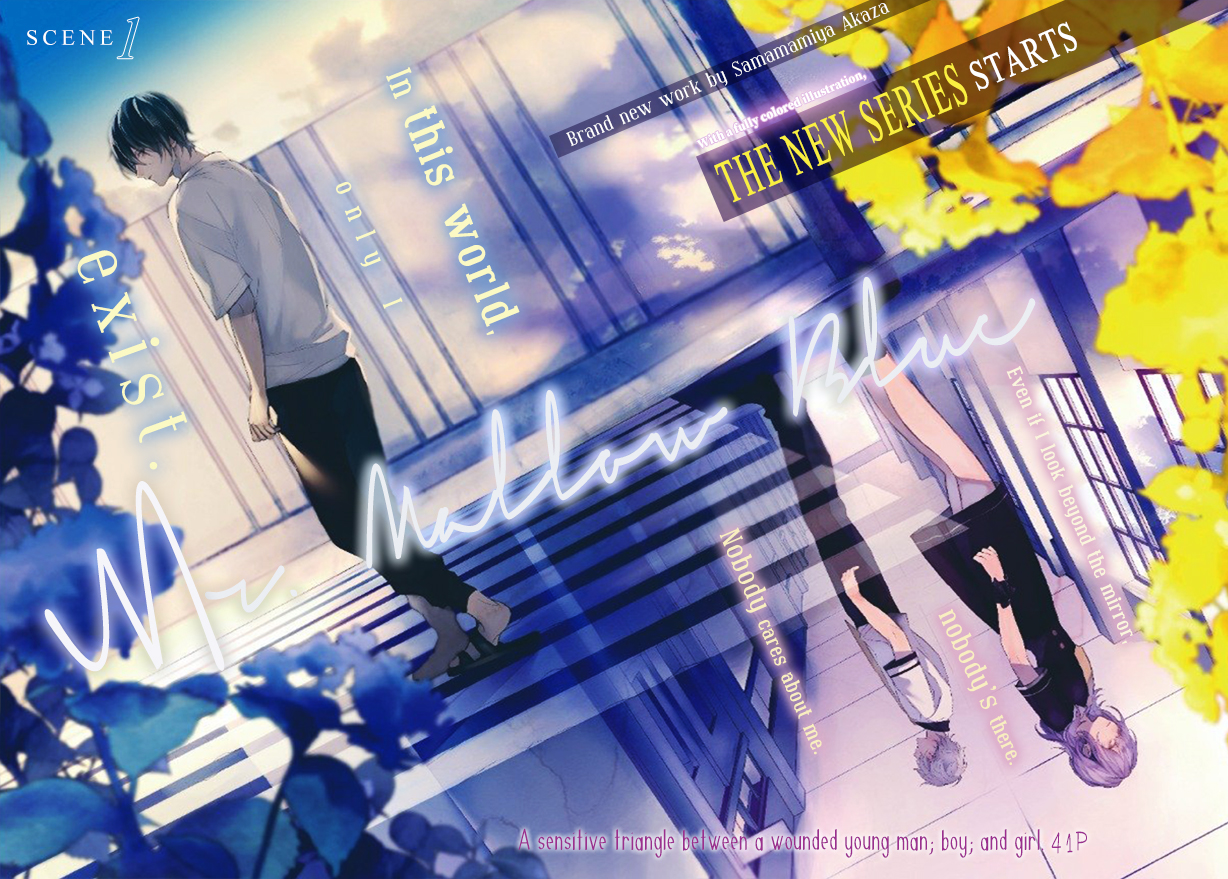 Mr. Mallow Blue 第4页