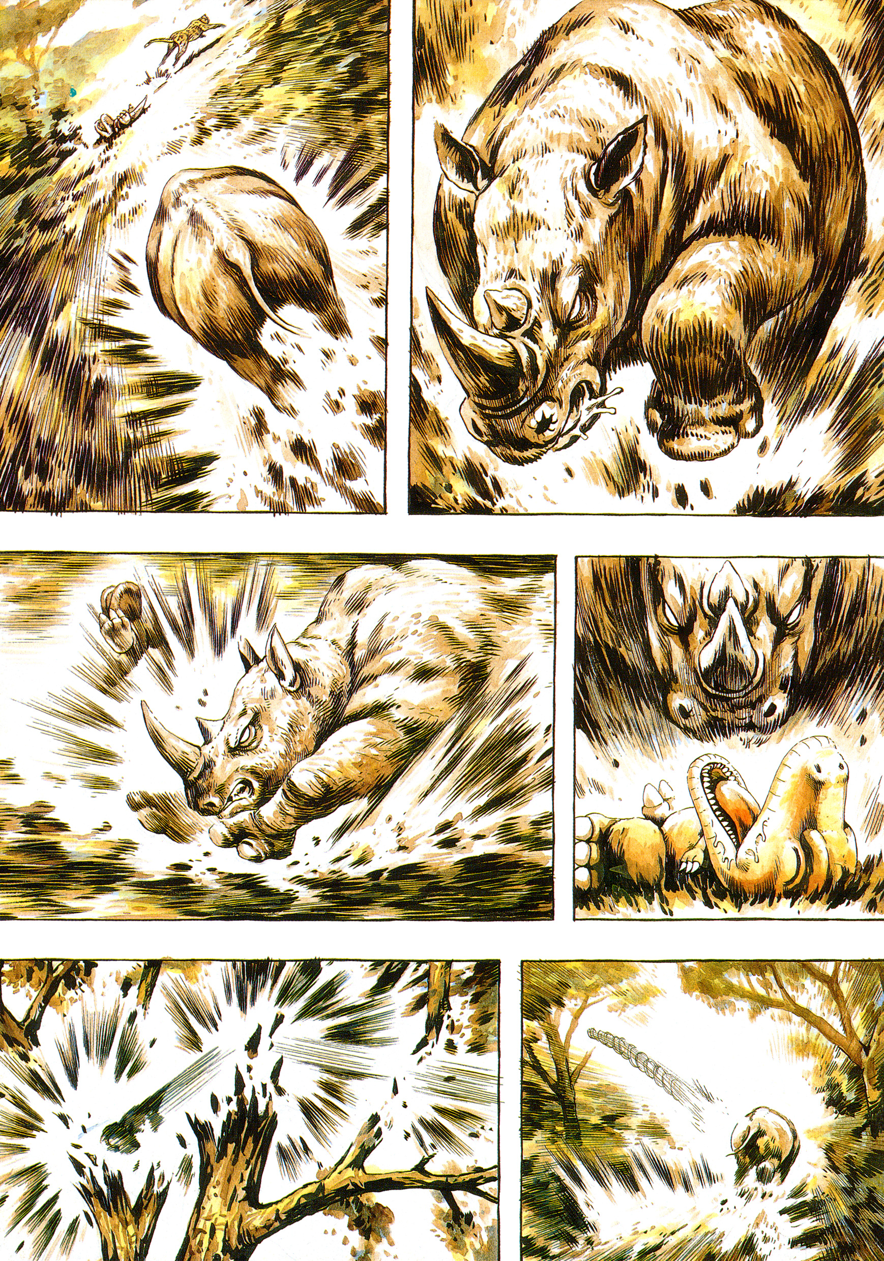 Gon 第6页