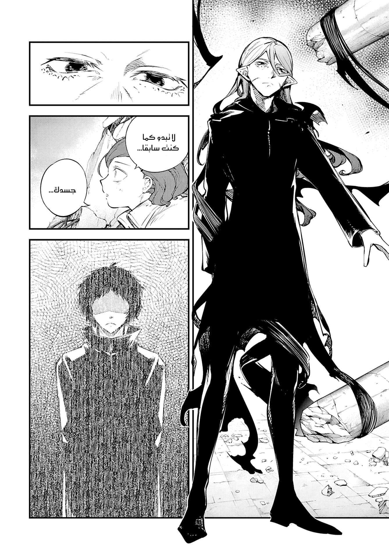 Bungou Stray Dogs 第2页