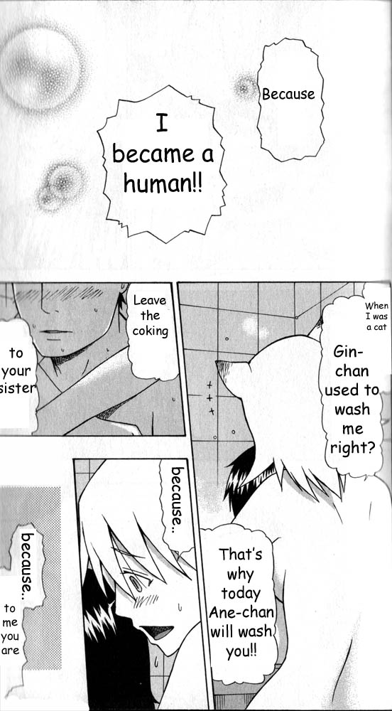 Neko Ane Vol. 1 Ch. 1 第40页