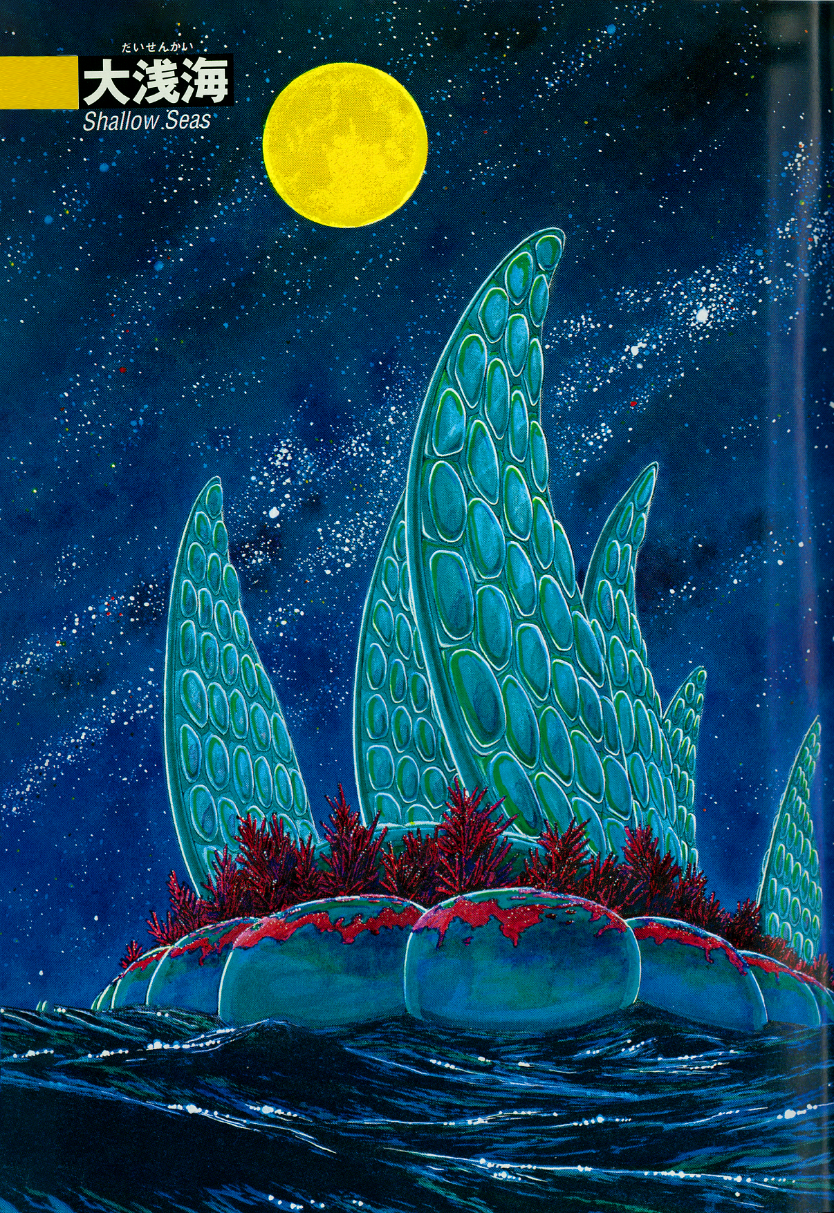 The Future is Wild The Shallow Seas 第2页