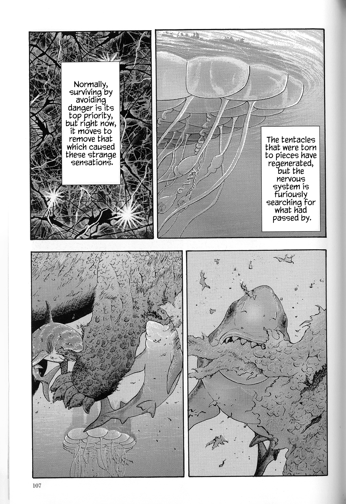 The Future is Wild The Shallow Seas 第14页