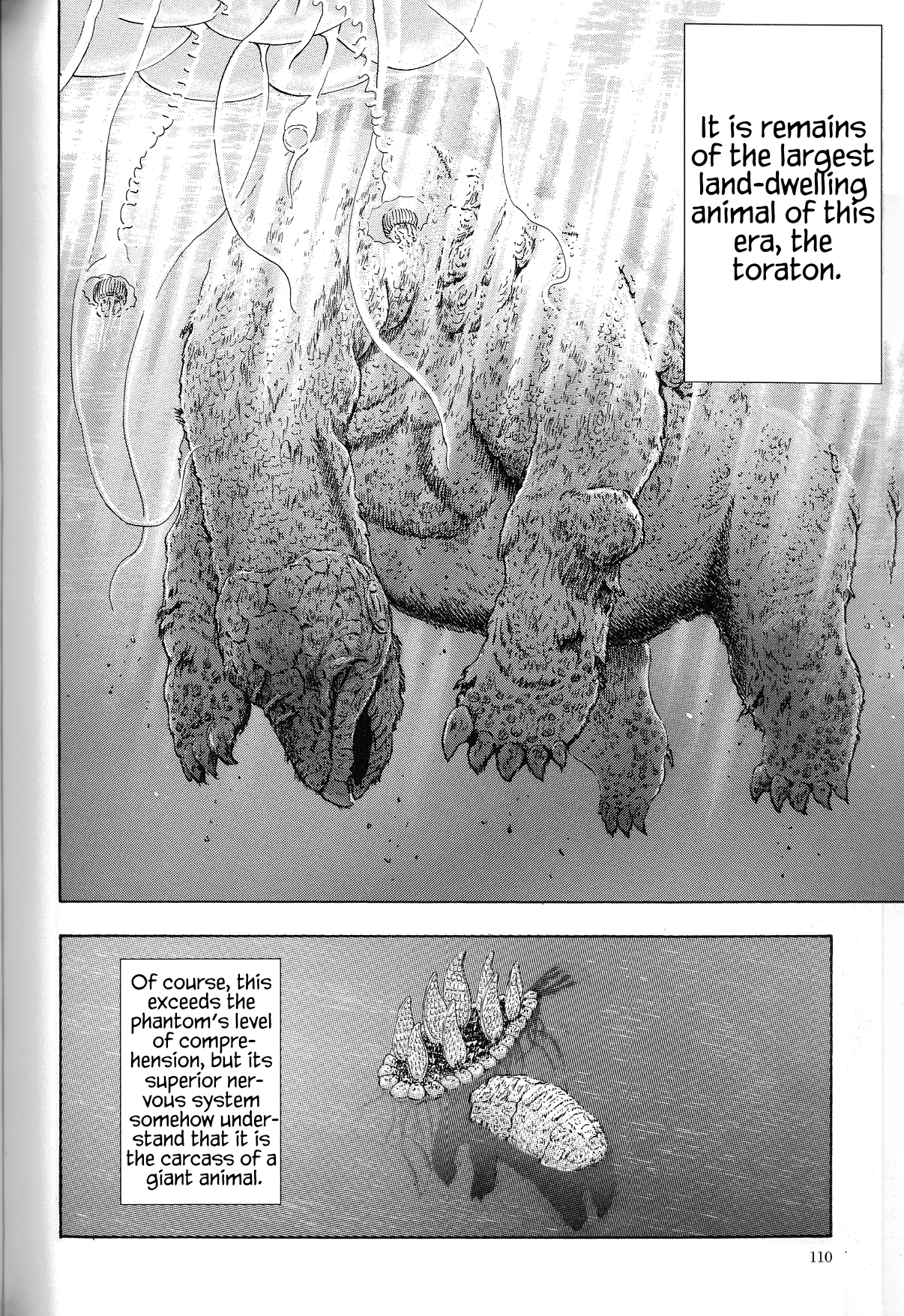 The Future is Wild The Shallow Seas 第17页