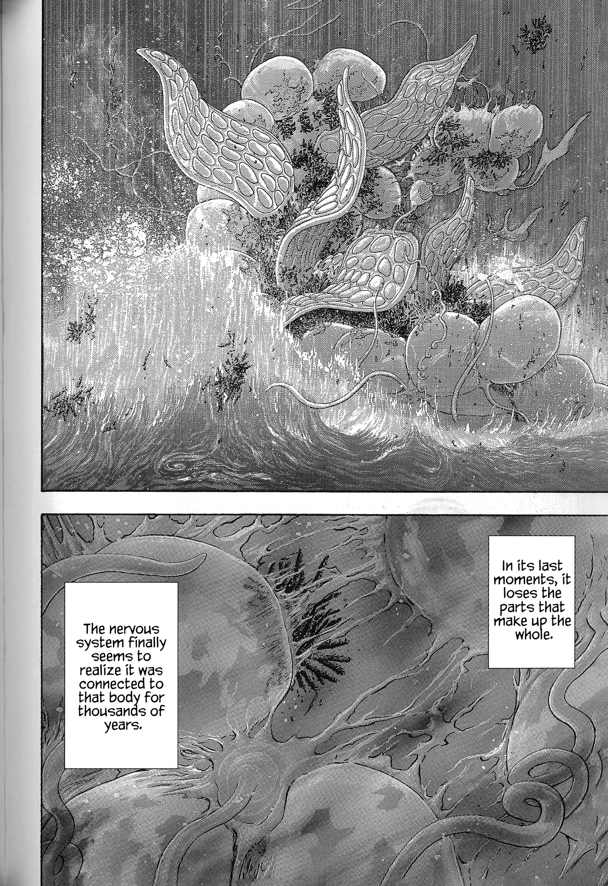The Future is Wild The Shallow Seas 第23页