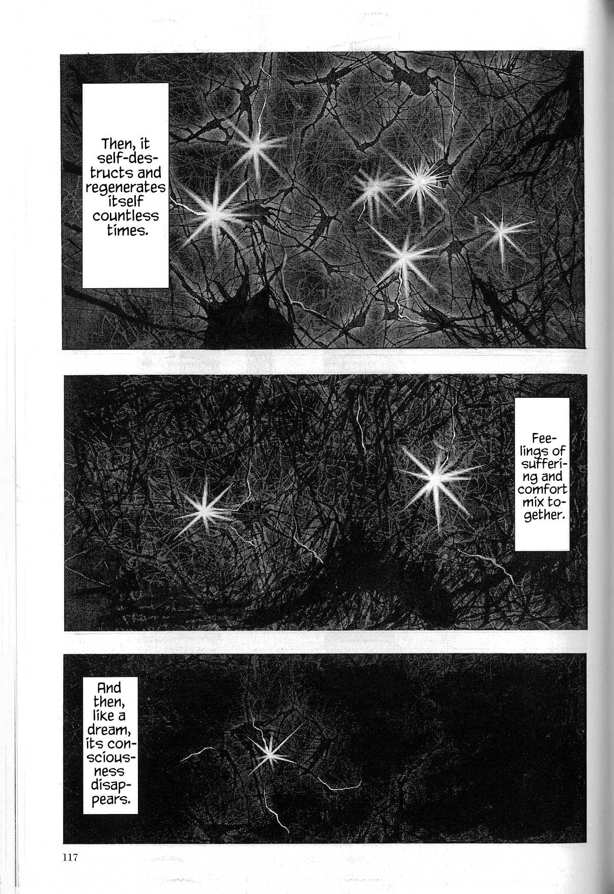 The Future is Wild The Shallow Seas 第24页
