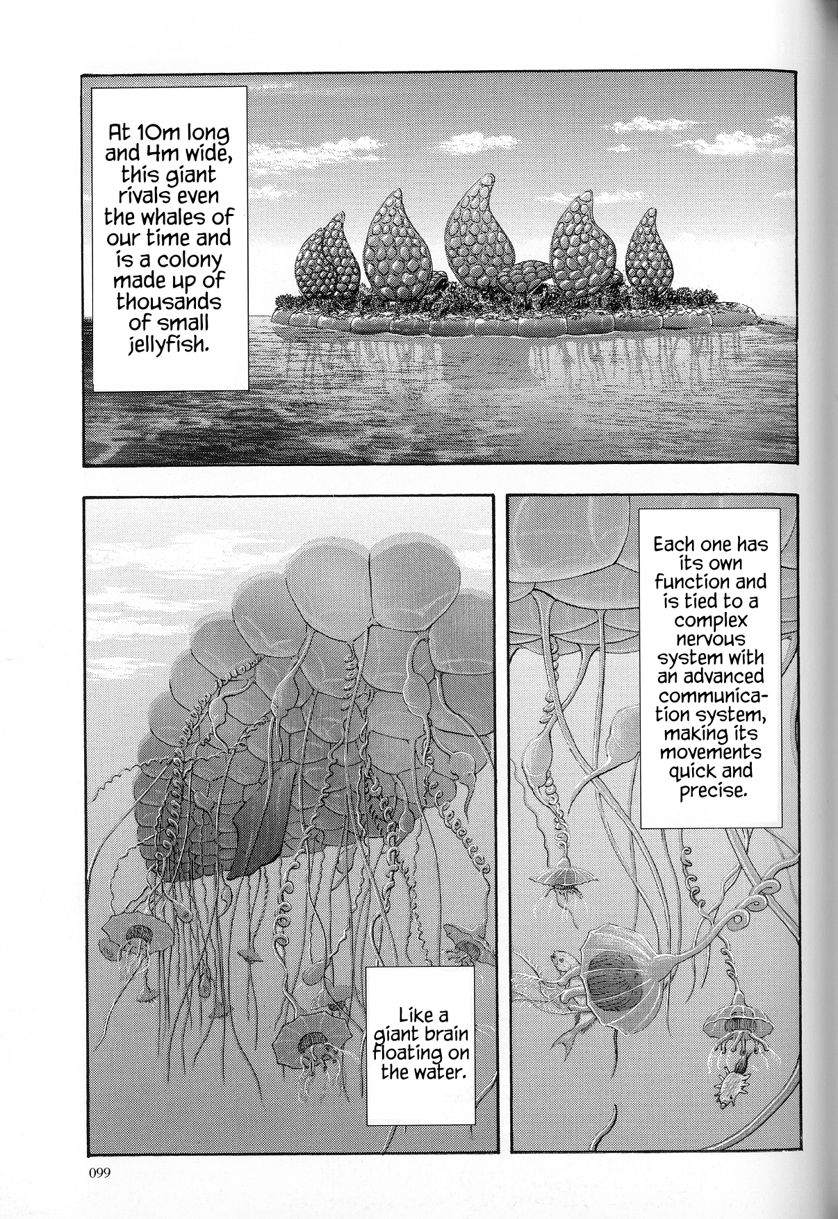 The Future is Wild The Shallow Seas 第6页