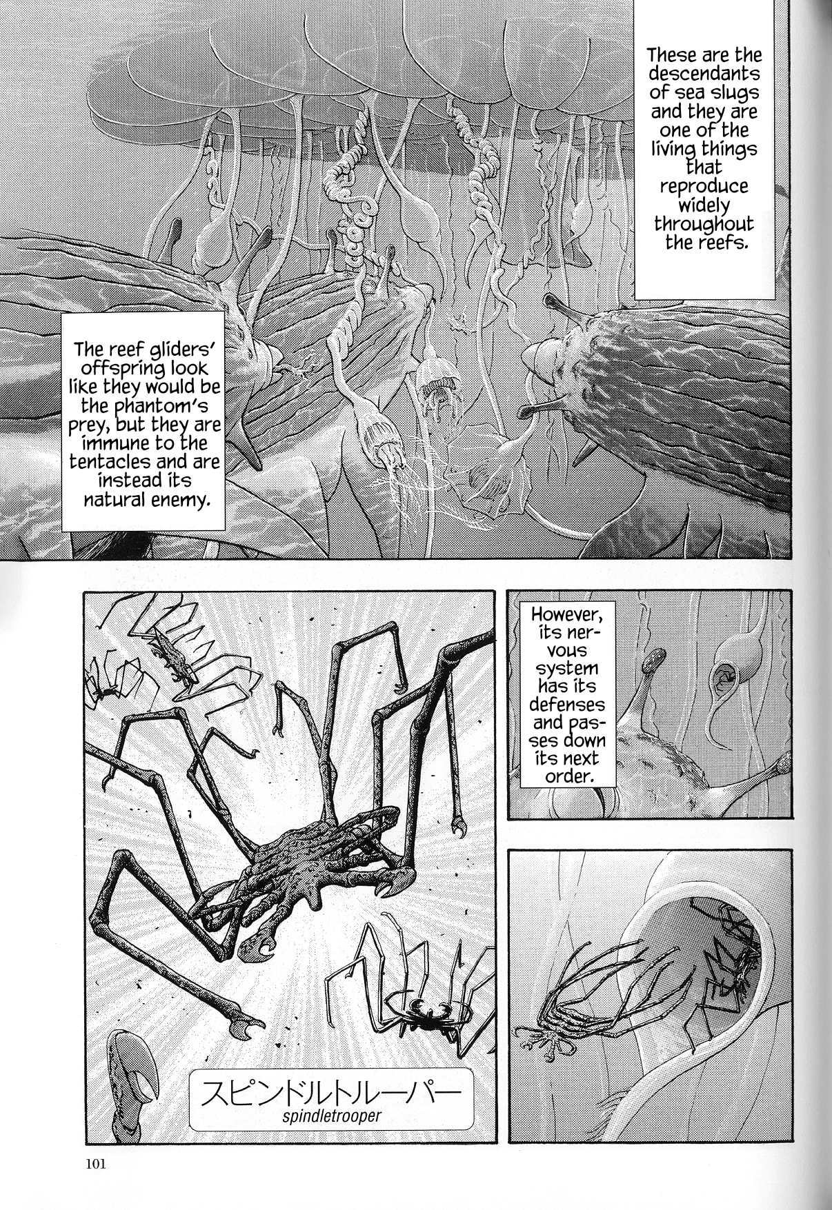 The Future is Wild The Shallow Seas 第8页