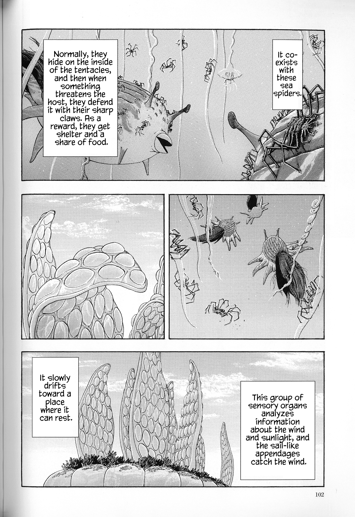 The Future is Wild The Shallow Seas 第9页