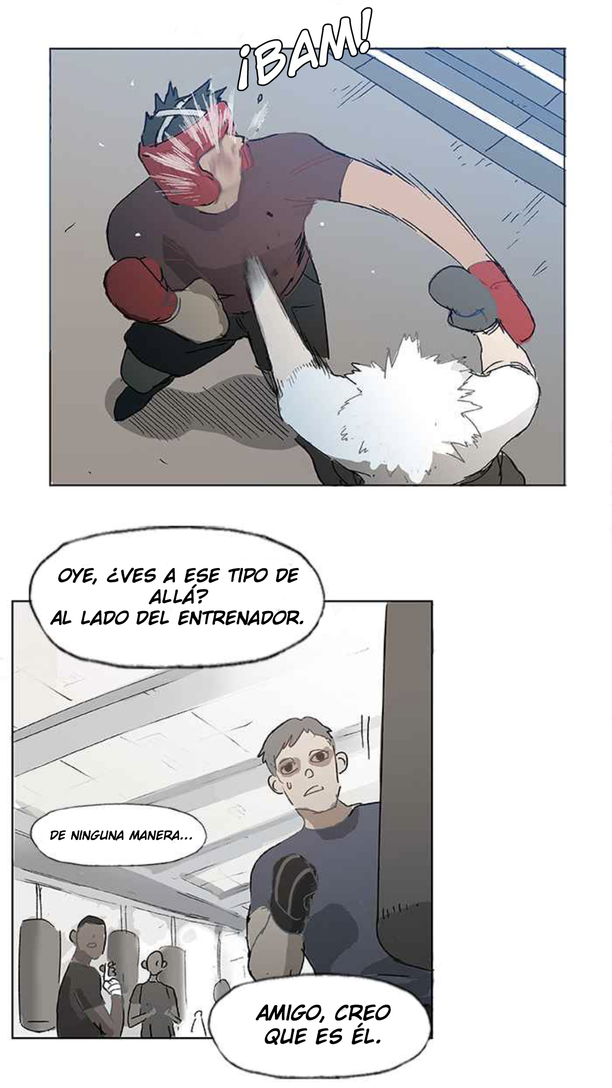 The Boxer EL GENIO 第20页