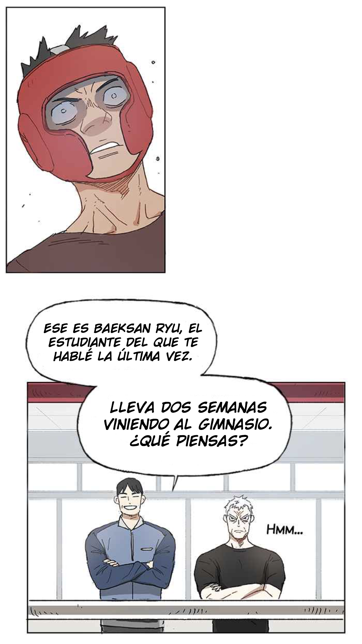 The Boxer EL GENIO 第26页