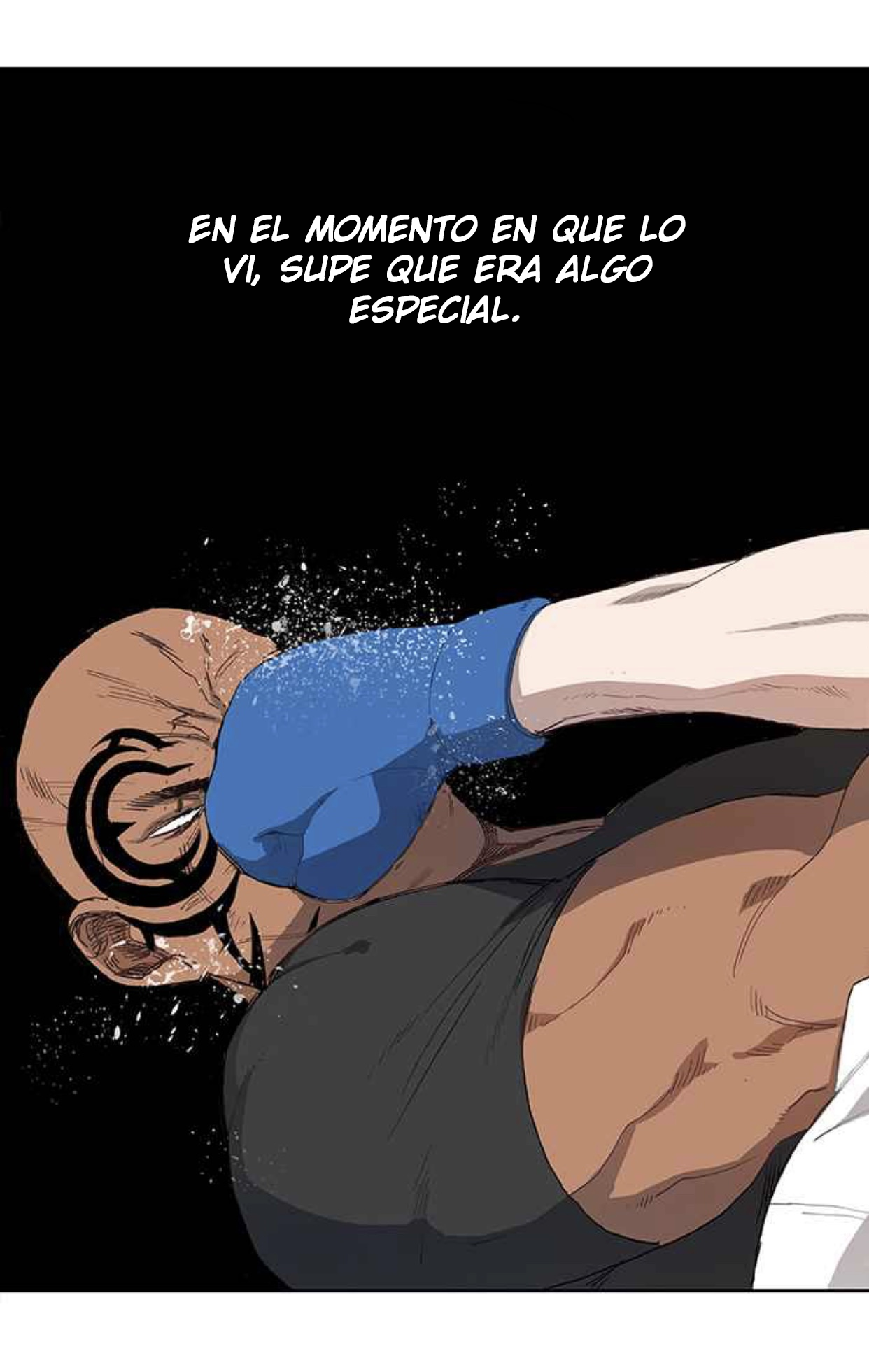 The Boxer EL GENIO 第46页