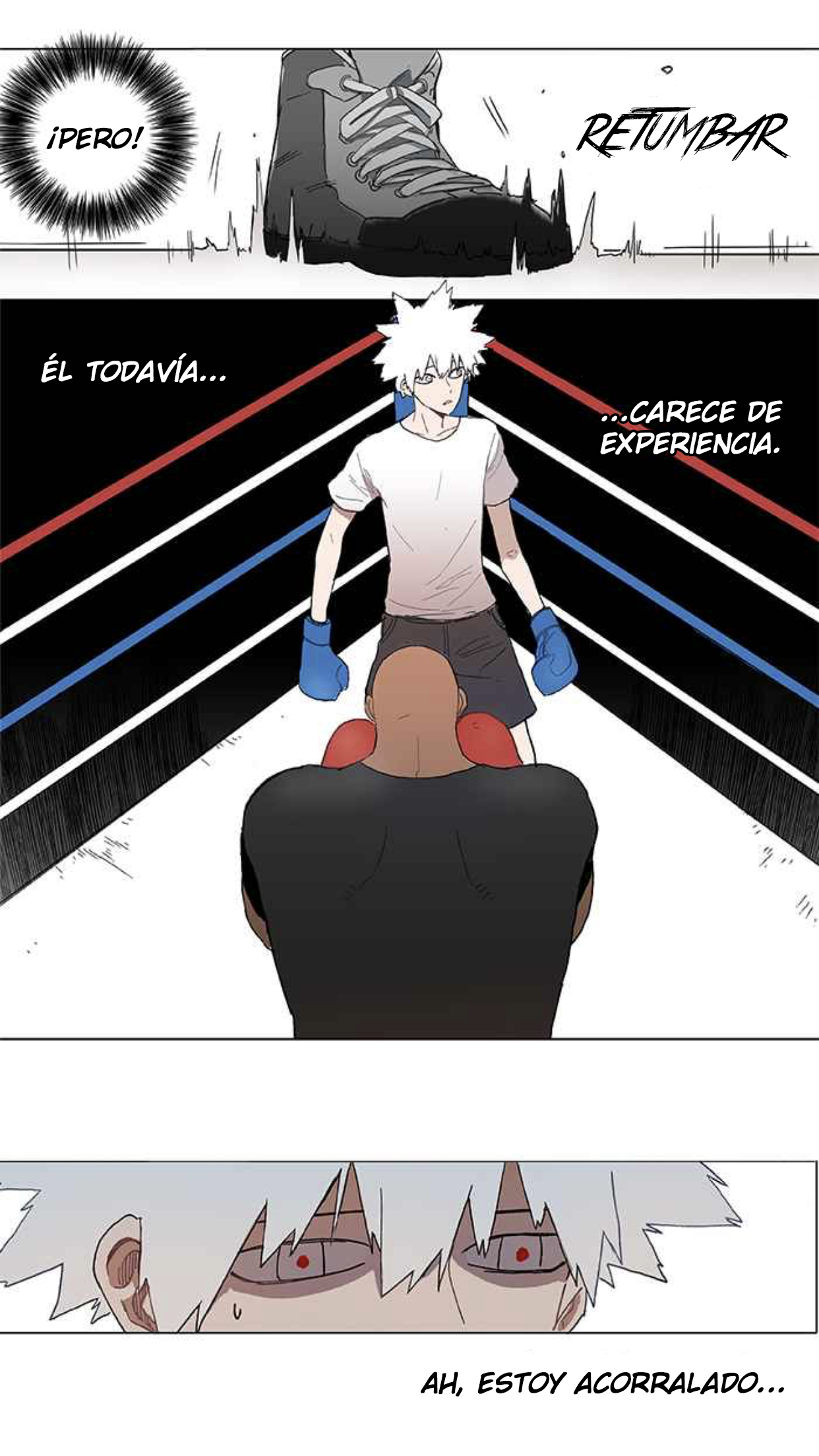 The Boxer EL GENIO 第75页