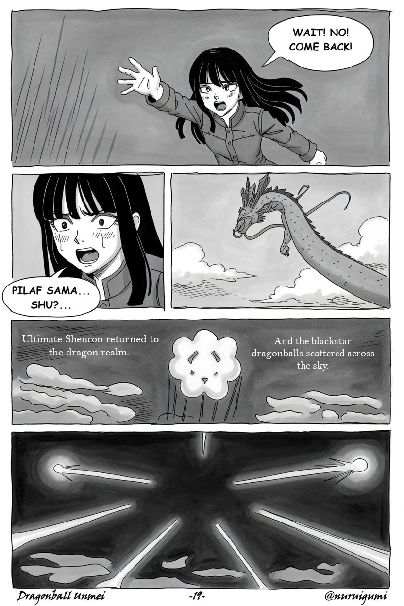 Dragonball Unmei The Forgotten Future 第19页