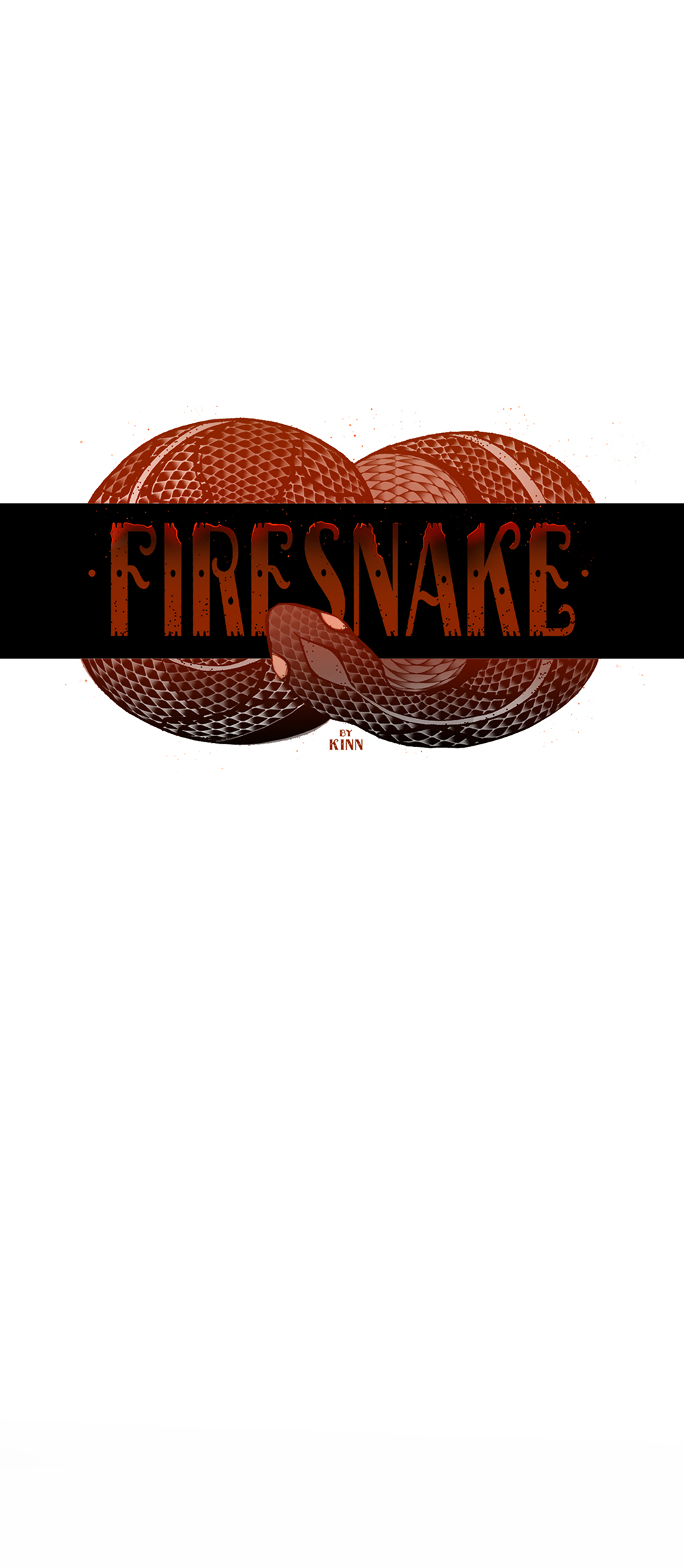 FIRESNAKE Un peu d'aide 第11页