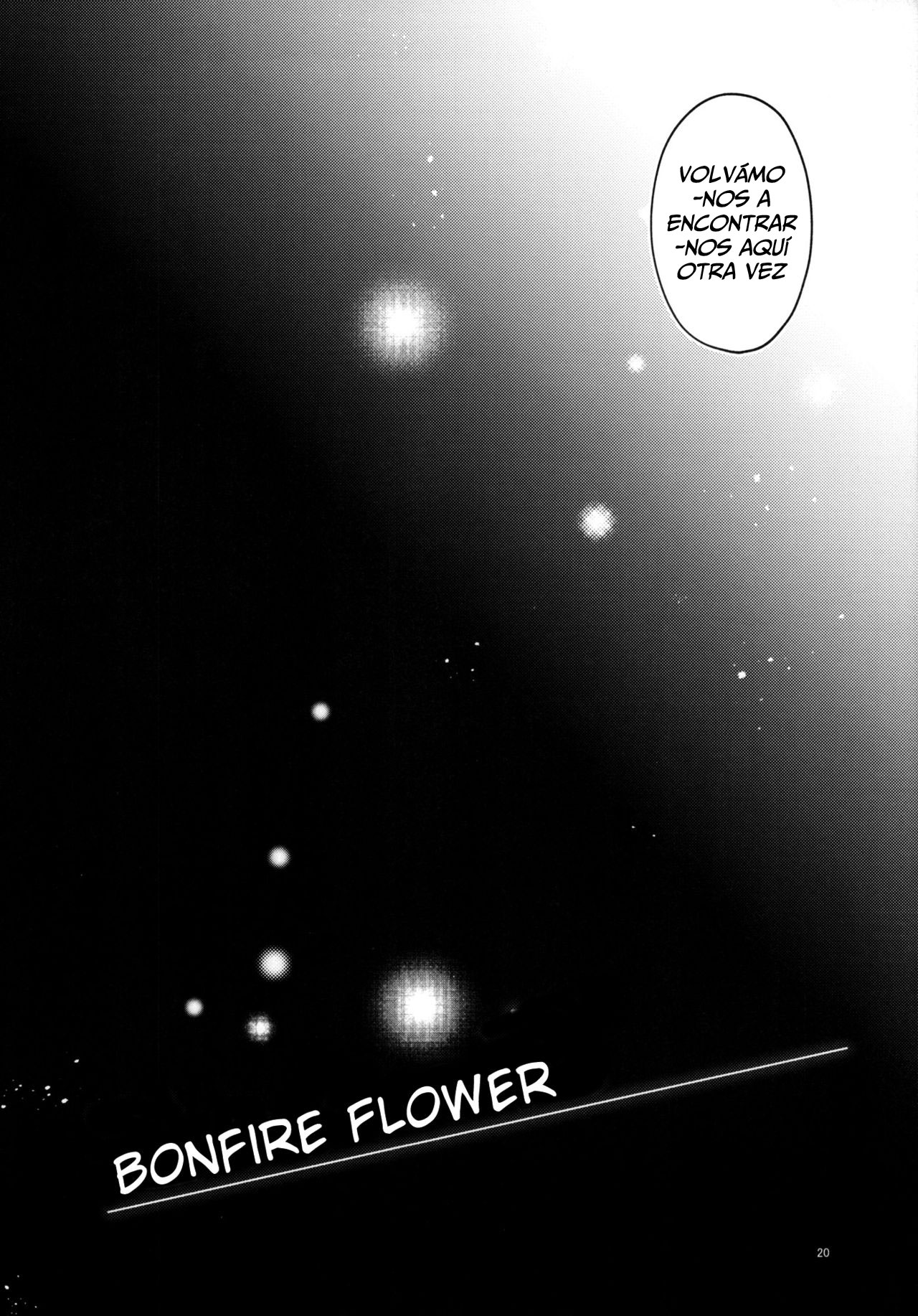 Touhou Project - Bonfire Flower (Doujinshi) Oneshot 第19页