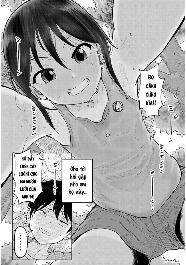 Itoko no Ko Anh thích em đúng hông? 第3页