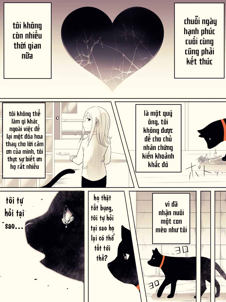 The Life of a Black Cat 第7页