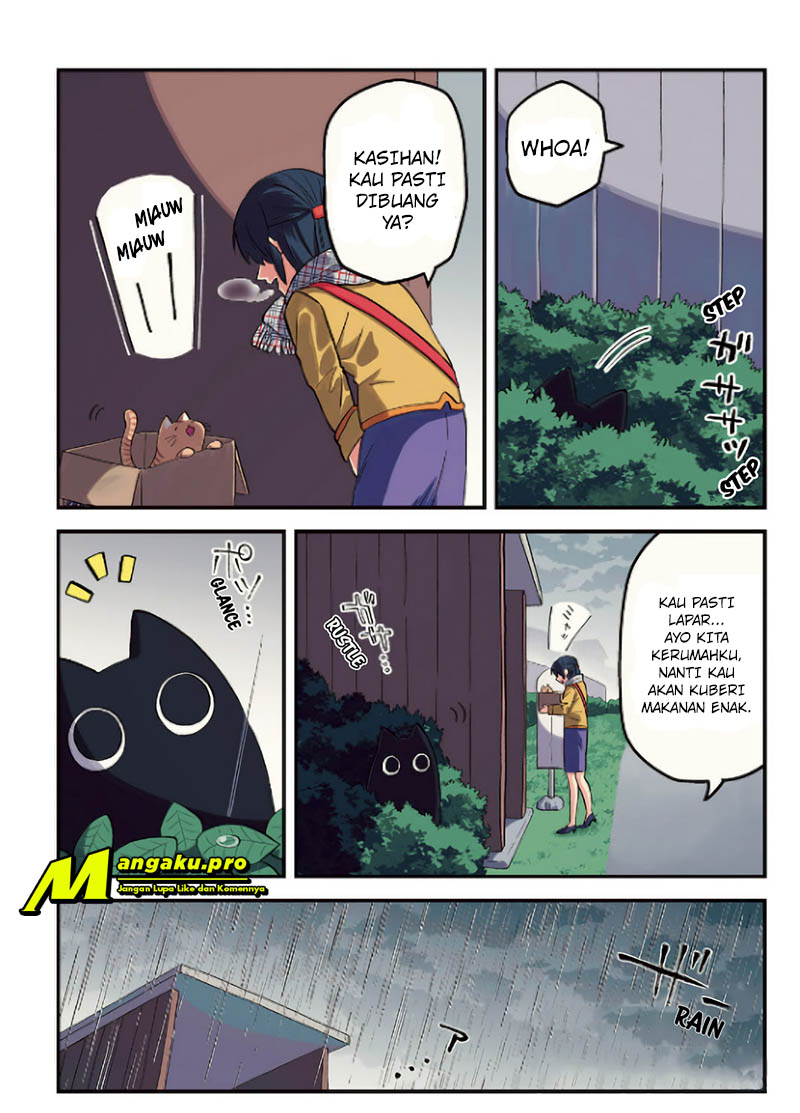 Something Like a Cat 第3页