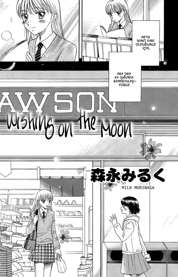 Wishing on the Moon Oneshot 第5页