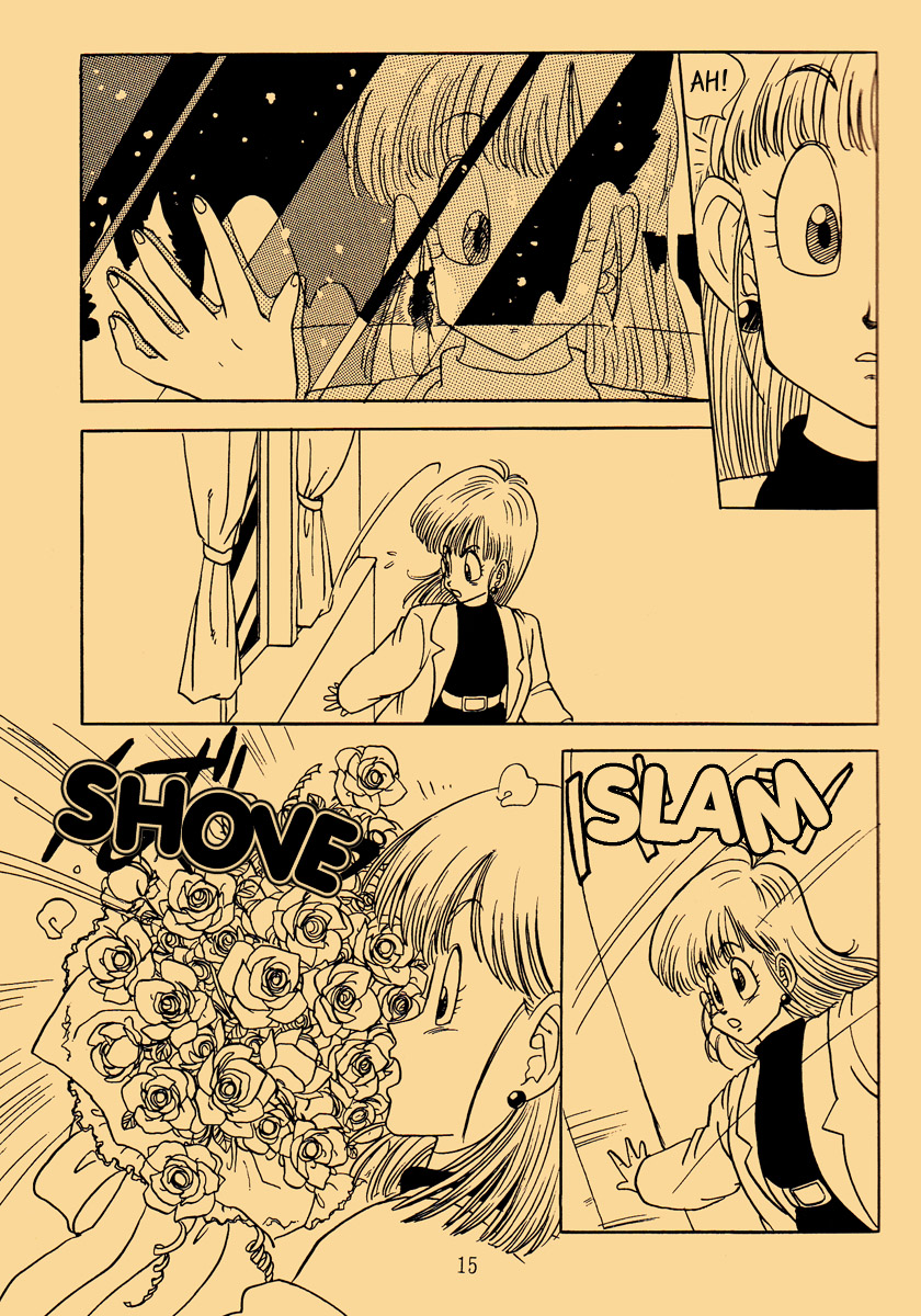 Dragon Ball - Happy Christmas (Doujinshi) Oneshot 第15页